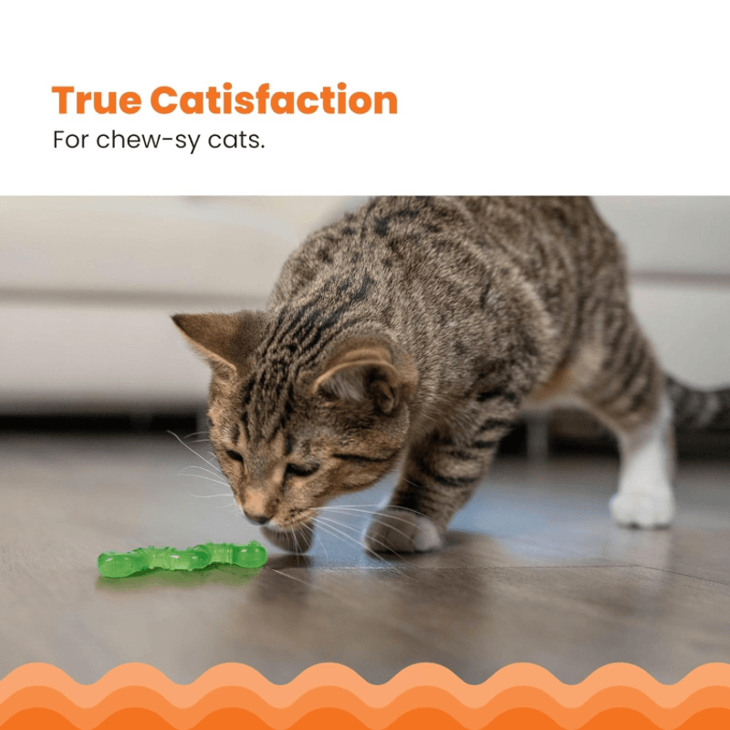 Cat Dental Toy - Orkakat Catnip Wiggle Worm
