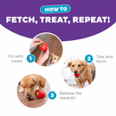 狗狗漏食玩具 - 草莓