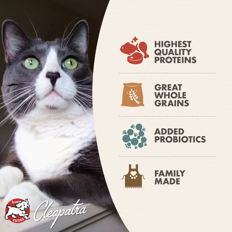 Dry Cat Food - GOLD - Healthy Weight