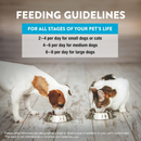 Freeze Dried Treat for Dogs & Cats - RAW REWARDS - Minnows - 1 oz