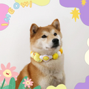 可爱毛球宠物项圈 - 生日派对及节日专用