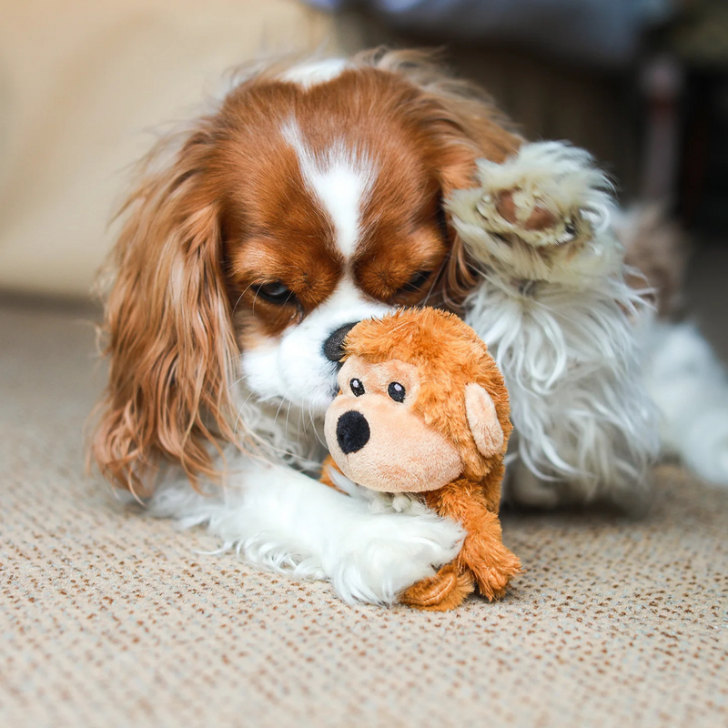 Puppy Plushie Toy - Baby Monkey