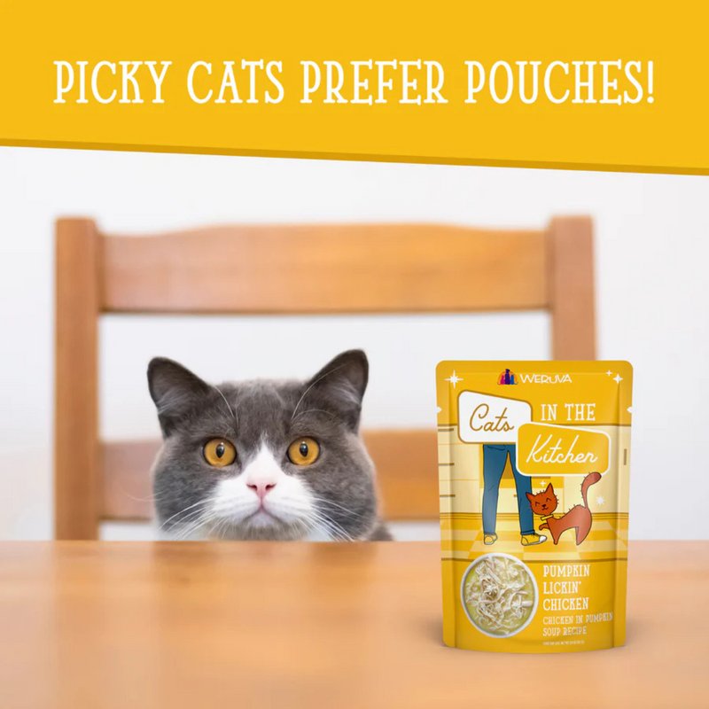 Wet Cat Food - Cats in the Kitchen - Pumpkin Lickin' Chicken - Chicken in Pumpkin Soup - 3 oz pouch