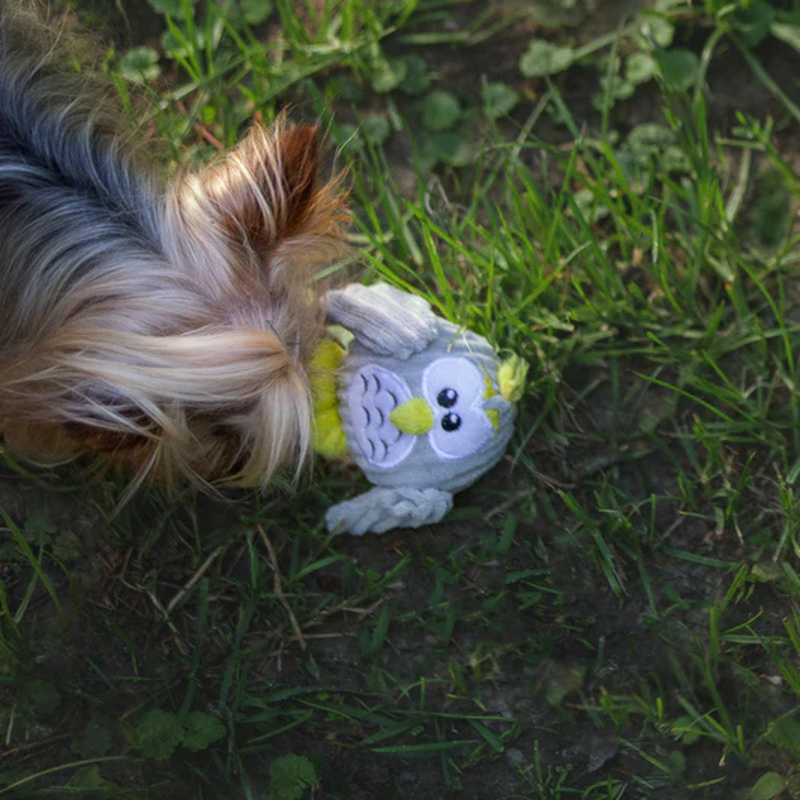 Puppy Plushie Toy - Baby Owl