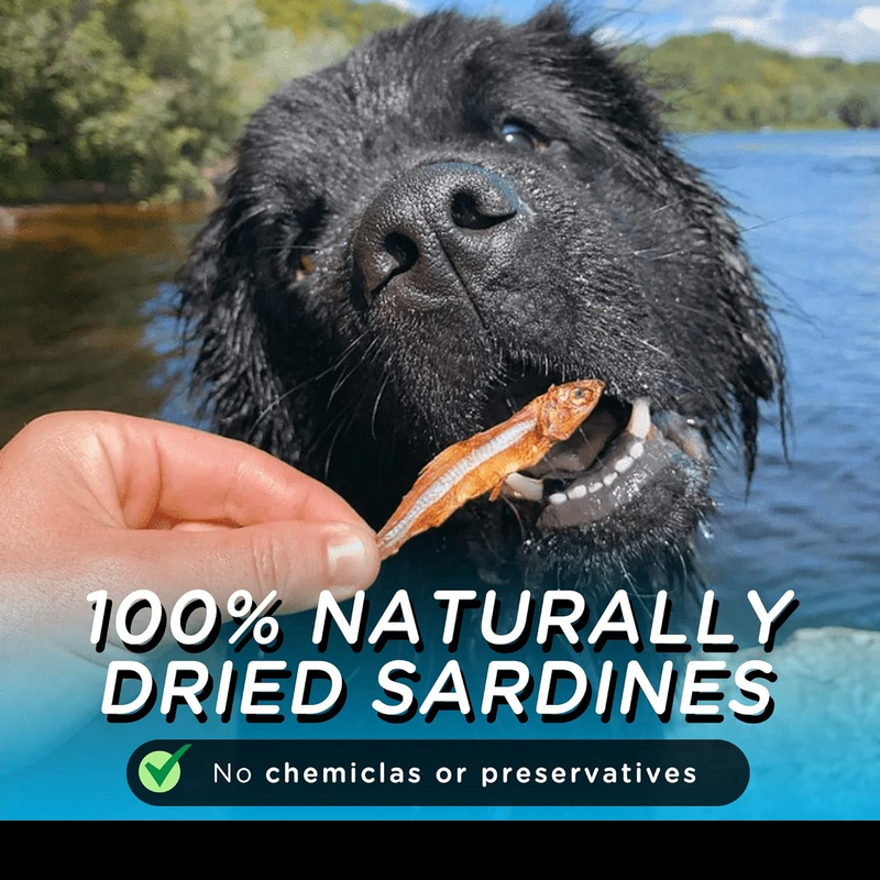 Dried Sardines