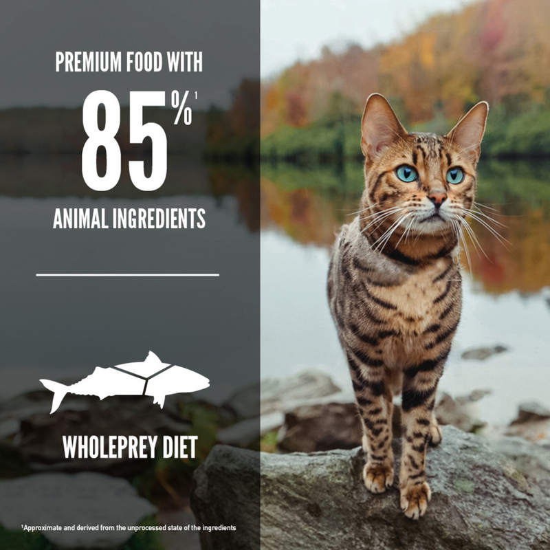 Dry Cat Food - Six Fish