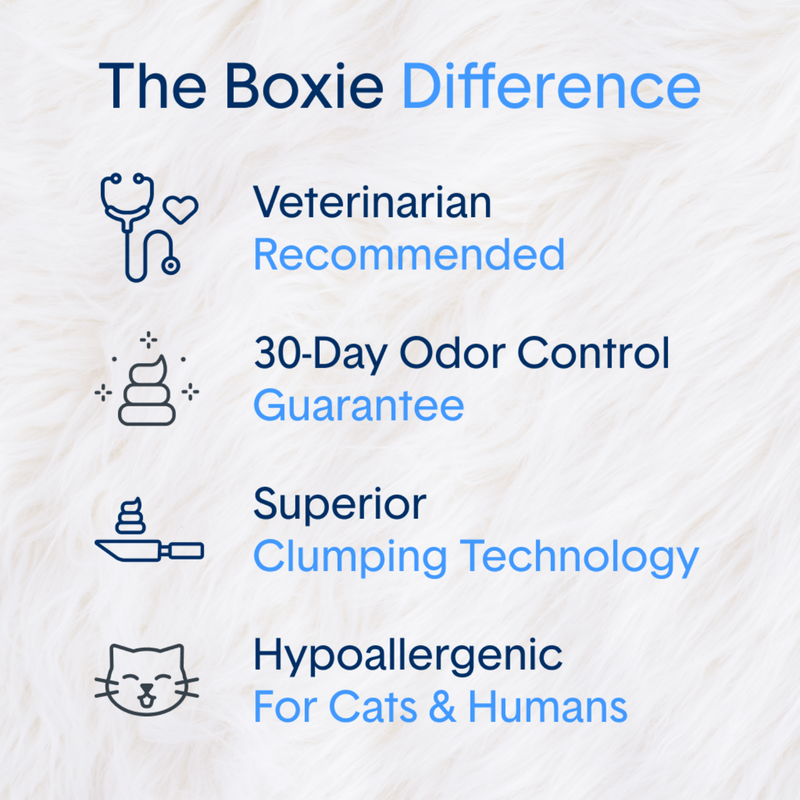 BOXIE CAT AIR - Lightweight, Scent Free Premium Clumping Litter