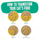 Wet Cat Food - BFF PLAY SNS Paté - Tiptoe - Chicken & Turkey Dinner in a Hydrating Purée