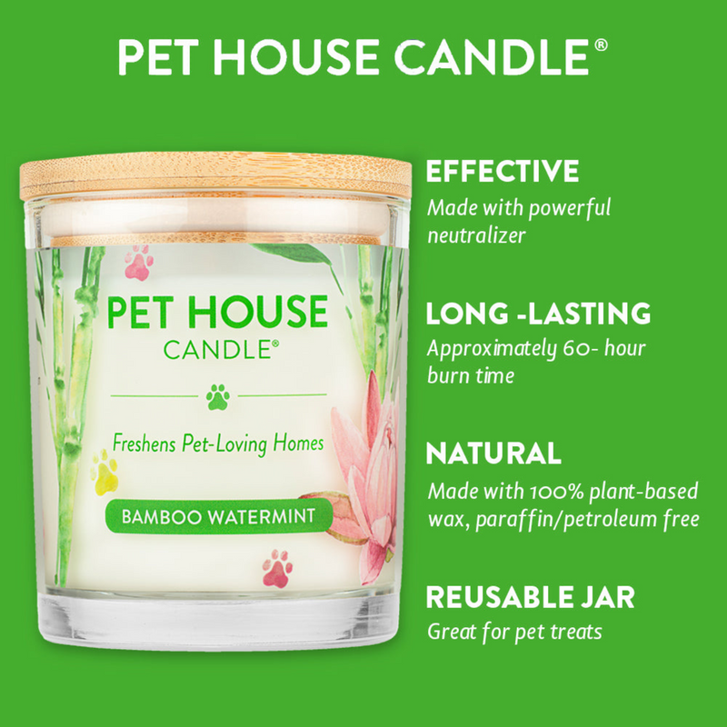 Pet House - Bougie de cire de soja 100% naturelle - Bamboo Mothermint - Large 8,5 oz