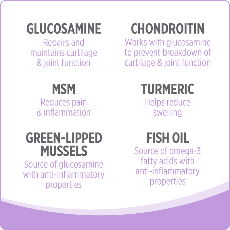 Dog Supplement - CARE - Hip & Joint - 100 chews