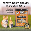 Freeze Dried Treat for Dogs & Cats - RAW REWARDS - Sweet Potato - 2 oz