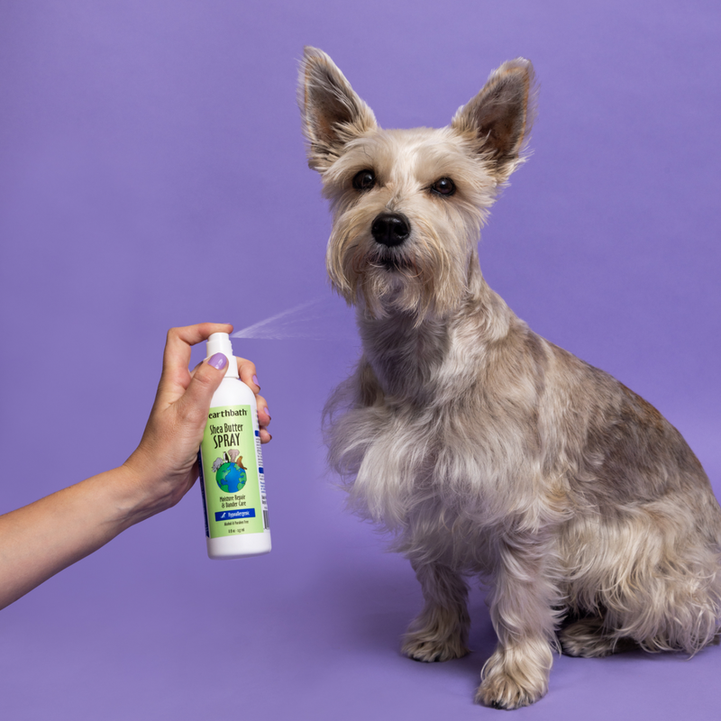 Dog & Cat Grooming Spray - Shea Butter Spray (Avocado & Calendula) - 8 fl oz