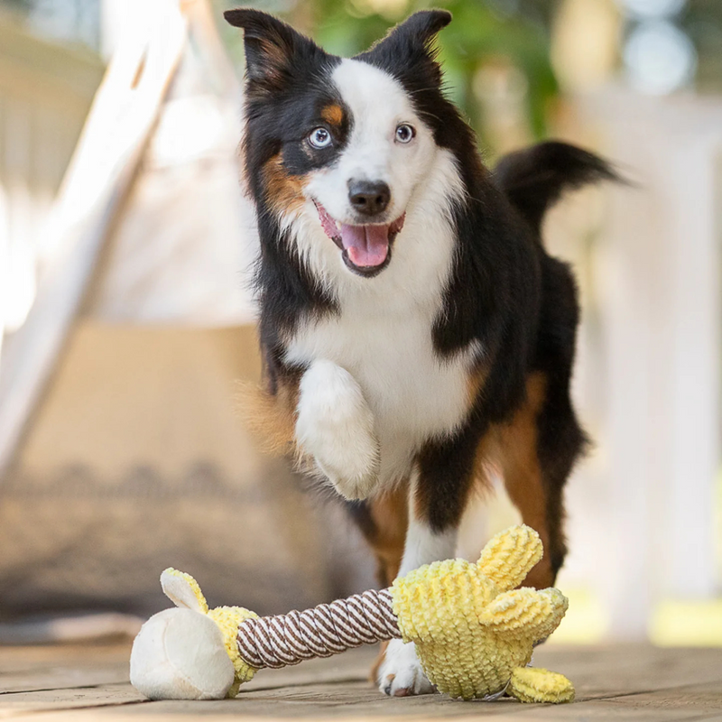 Jouets de chien en peluche - Lucy la girafe