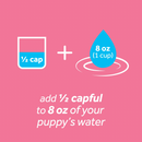 Dog Dental Health - FRESH BREATH - Water Additive - Puppy - 16 fl oz