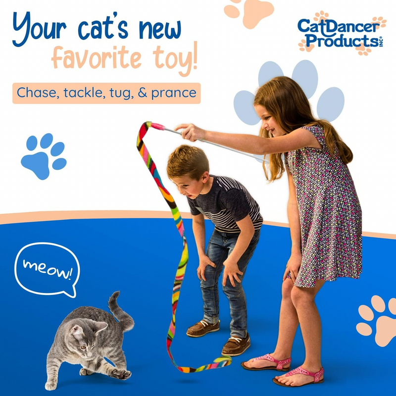 Interactive Cat Toy - Cat Charmer