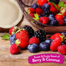 Waterless Dog Shampoo - Berry & Coconut Deep Cleansing