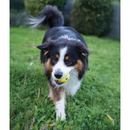 Dog Toy - NITRO - Ultra Durable Ball
