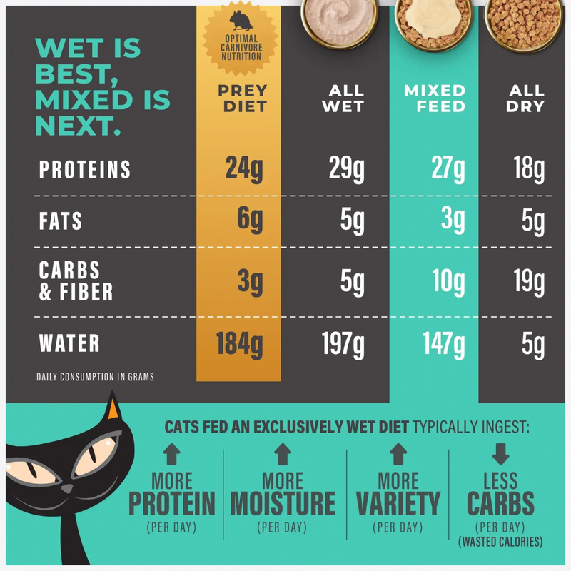Wet Cat Food Topper - SOLUTIONS - Skin + Coat - Salmon Recipe in Broth