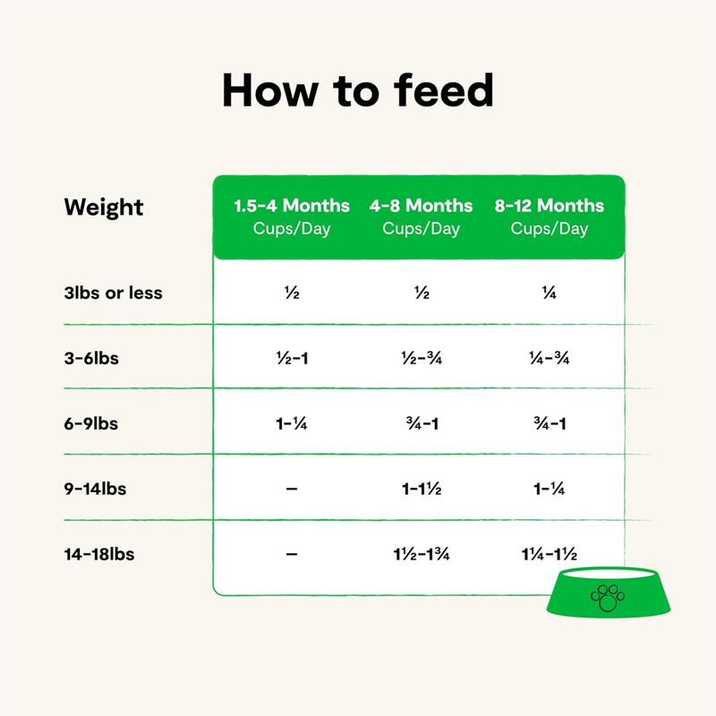 Dry Cat Food - Grain Free Turkey & Chicken Recipe - Kitten