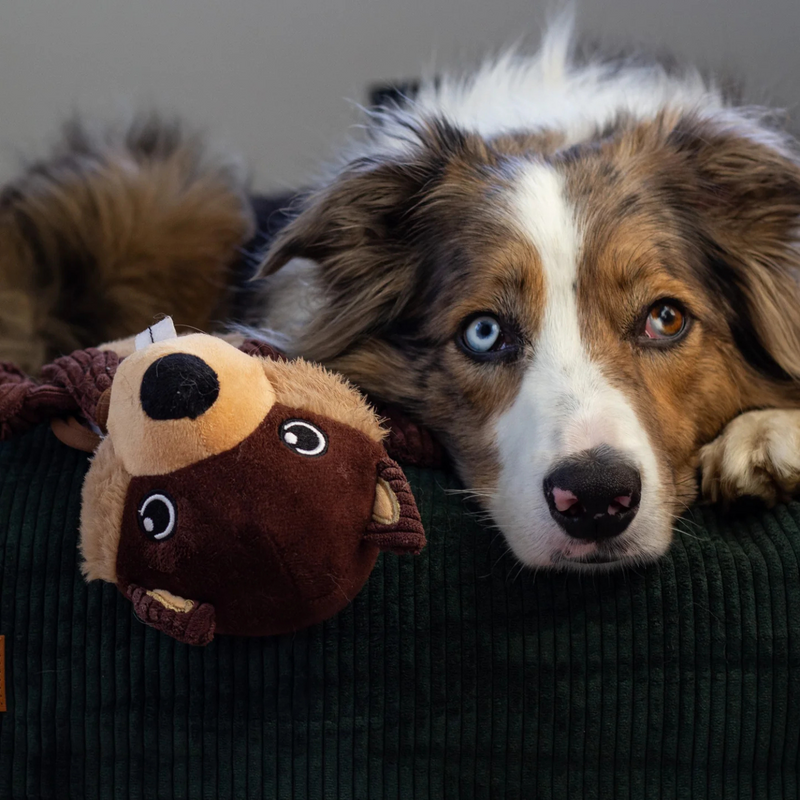 Rebuildable Dog Toy - Bernie The Beaver