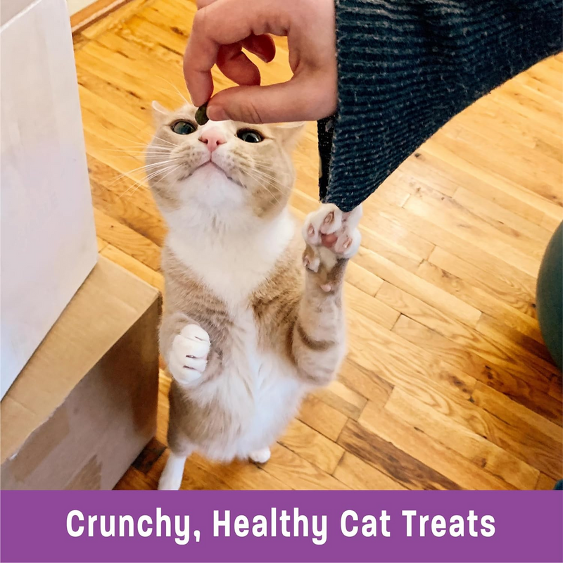 Crunchy Cat Treat - Kittles - Salmon & Cranberries