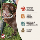 成年犬用干粮 - 经典