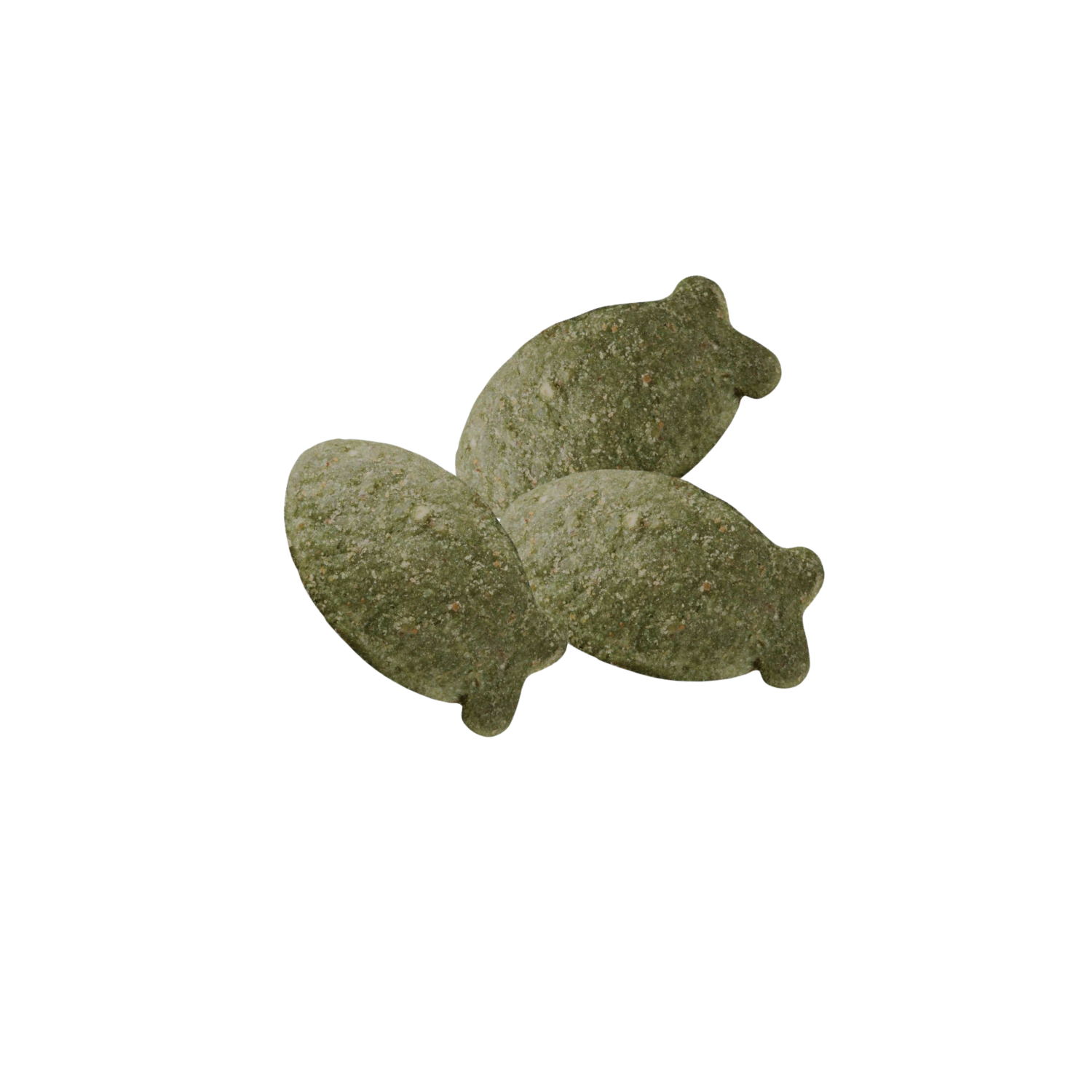 ドッグフード CHAEYOUNG WYSONG™(ワイソン)公式ショップ