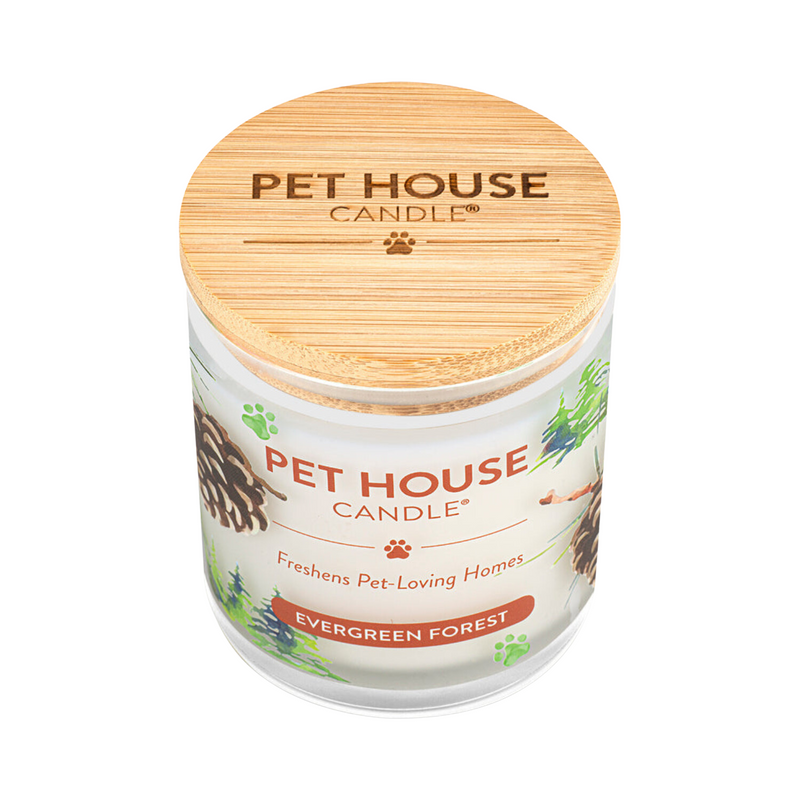 Pet House - Bougie de cire de soja 100% naturelle - Forêt à feuilles persistantes - Grande 8,5 oz