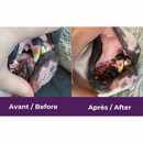 BUCO+ Dental Care For Dogs & Cats less than 15 kg