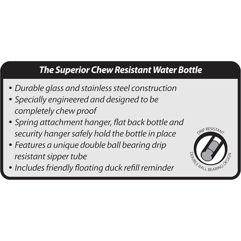 Chew-Proof Water Bottle