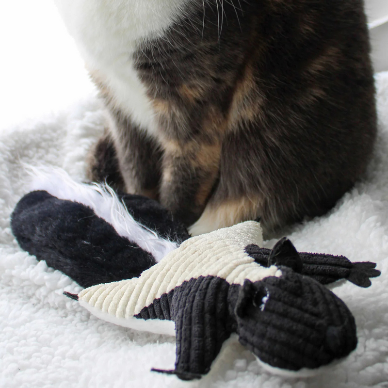 Cat Kicker Toy with Catnip - Skunk