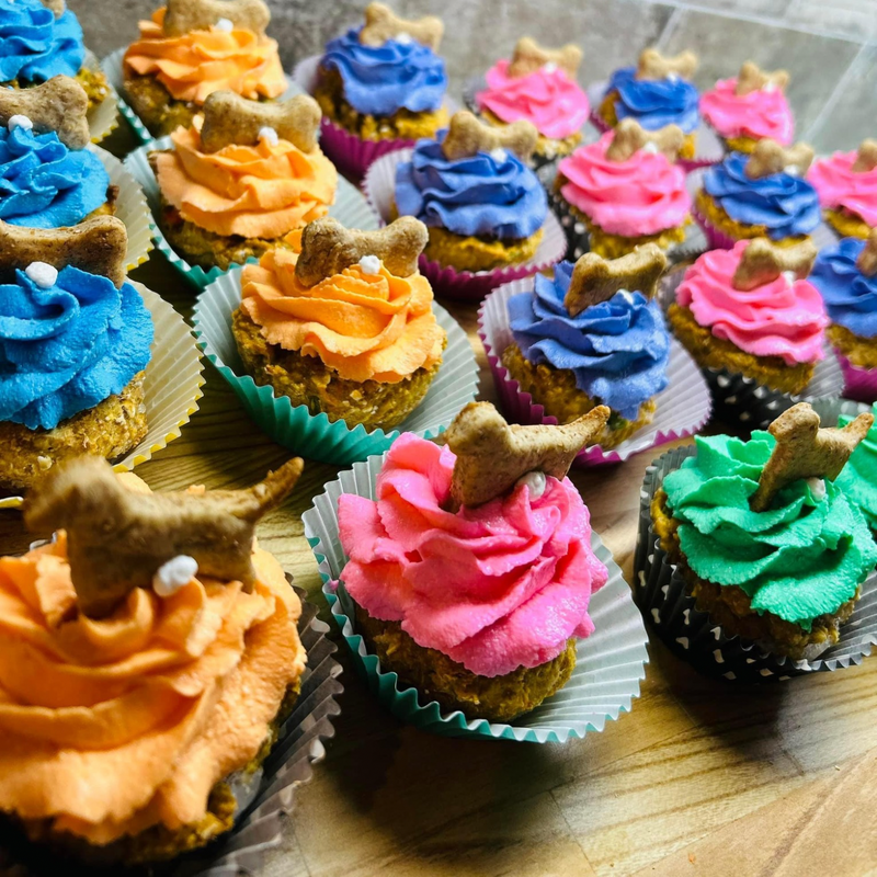 Frozen Hand-made Pupcakes (Assorted Color), 1 pc