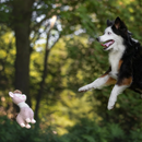 Jouets de chien en peluche - Lola les Llamas