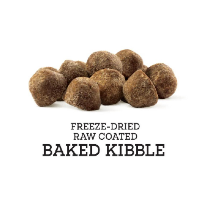 Dry Dog Food - Raw Coated - Grain Free - Chicken