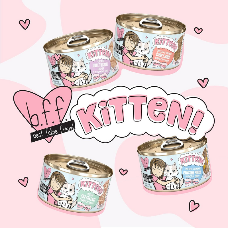 Canned Cat Food - BFF KITTEN - Chicken & Salmon Cuddle Buds! - in Gravy - 2.8 oz