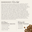 Nourriture pour chiens secs - Four Star - Salmon à la Veg Recette