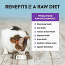 Aliments aux chats lyophilisés - Régime cru - Anumages de poisson-blanc - 11 oz