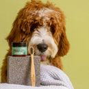 Toothpaste for Dogs - Peppermint - 2 oz