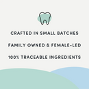 Natural Dental Dog Treat - Plaque Busters Pumpkin Spice Dental Sticks, 7" (10 pcs)