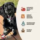 Canned Dog Food - GOLD - Beef & Barley Pâté - 12.2 oz