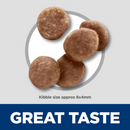 Dry Cat Food - KITTEN - Chicken Recipe