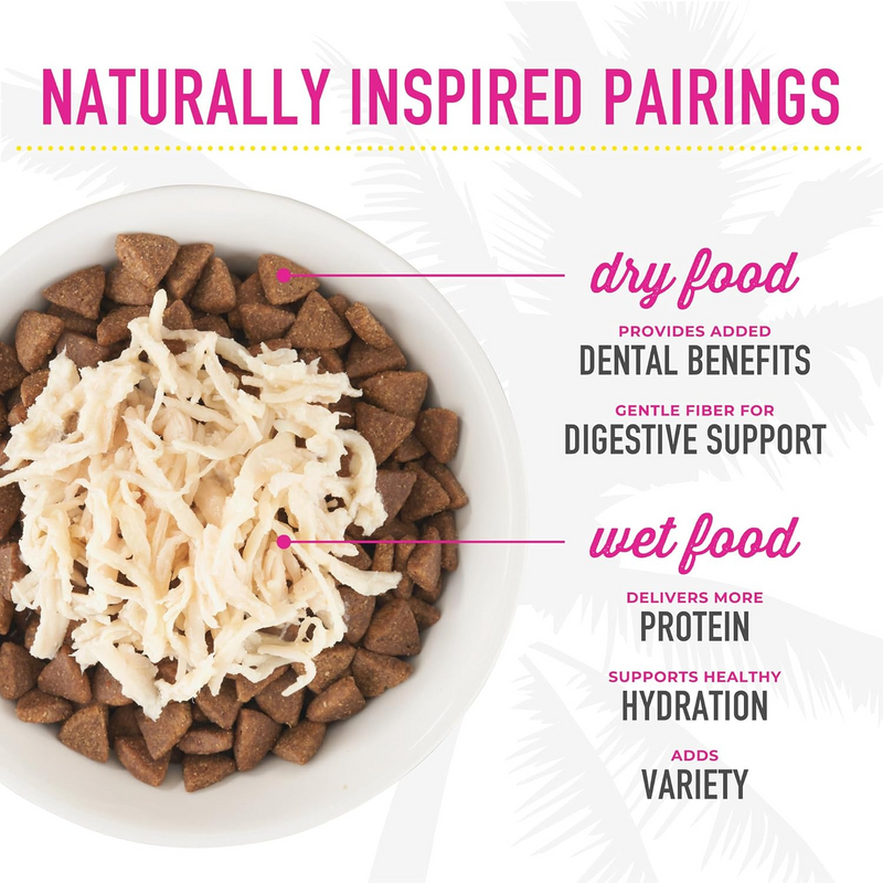 猫罐头 - 黑夜传说 - 鸡肉羊肉肉汤配方