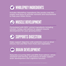 Dry Cat Food - Kitten