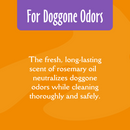 除臭洗发水 - 地中海魔法 - 16盎司