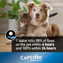 CAPSTAR Fast Acting Oral Flea Treatment For Dogs & Cats 1-11 kg, 6×11.4mg tablets