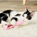 Catnip Cat Toy - Cigars - Blue & Pink - 1 pc