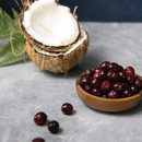 Slow Baked Dog Treat - Functional Granola Bars - Omega Skin & Coat