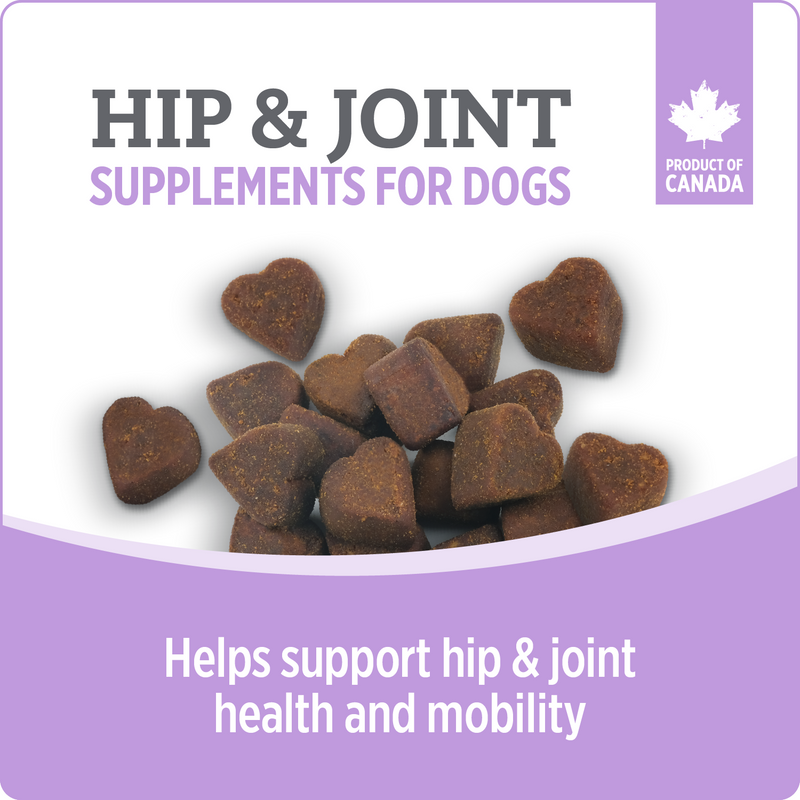 Dog Supplement - CARE - Hip & Joint - 100 chews
