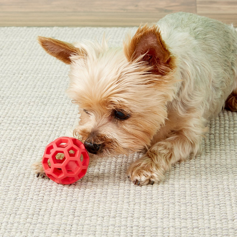 Hol-ee Roller Puzzle Dog Toy