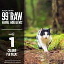 Freeze Dried Cat Treat - Regional Red - 35 g